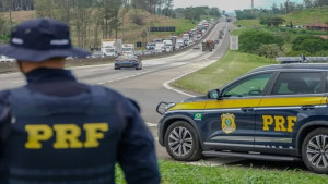 PRF apreende 23 aves silvestres transportadas ilegalmente em Conquista