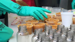 BYD promove oficina gratuita de sabão artesanal em Camaçari